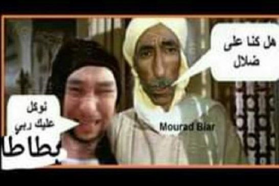 الأمين العام لاتحاد الفلاحين يدافع عن البطاطا