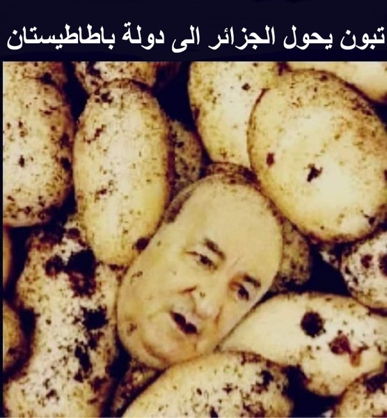 الجزائر  تلجأ لـ"تسقيف" ثمن البطاطا الموجهة للاستهلاك في ظل تنامي التضخم